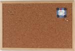 Prikbord kurk 60x80cm houten lijst