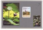 Classic viltbord 60x90 cm grijs + gratis 40 pins